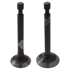 Einlass- und Auslassventilsatz für LONCIN-Motoren – 049055 | NewgardenParts.com