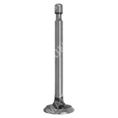 Soupape d'admission pour moteurs HONDA - 011857 | NewgardenParts.com