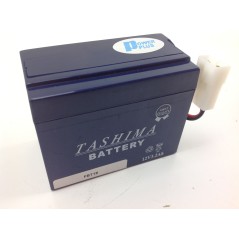 Batteria al GEL ET-FBT19 per B&S TECUMSEH BLUE SKY 12V 3AH 008987 | NewgardenParts.com