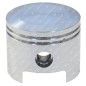 Complete piston for GREEN LINE blowers - 055817