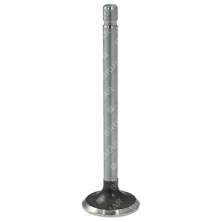 Auslassventil für BRIGGS & STRATTON-Motoren - 011880 | NewgardenParts.com