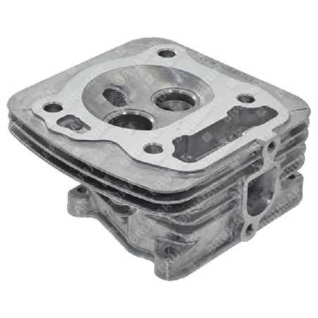 Culasse pour moteurs et tondeuses DUCAR 471001 - 055556 | NewgardenParts.com