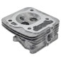 Testa cilindro per motori e rasaerba DUCAR 471001 Compatibile - 055556
