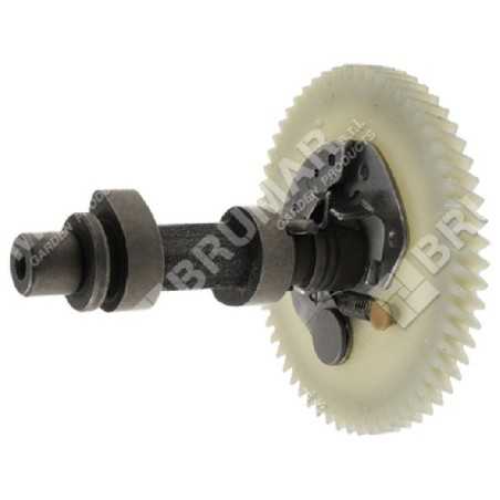 Crankshaft for DUCAR motor pumps 252002 - 047352 | NewgardenParts.com