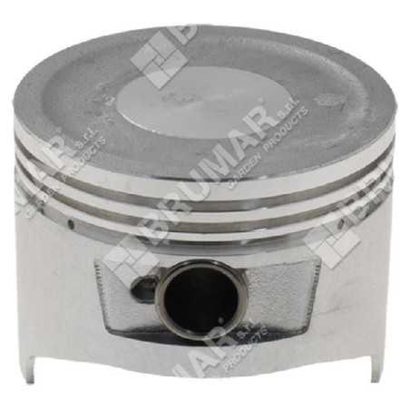 Piston complet diamètre 77 mm pour motopompe DUCAR - 047325 | NewgardenParts.com