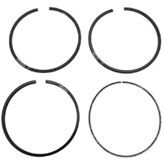 BRIGGS & STRATTON Quadratsegment-Kit Durchmesser 68,1 mm – 011594 | NewgardenParts.com