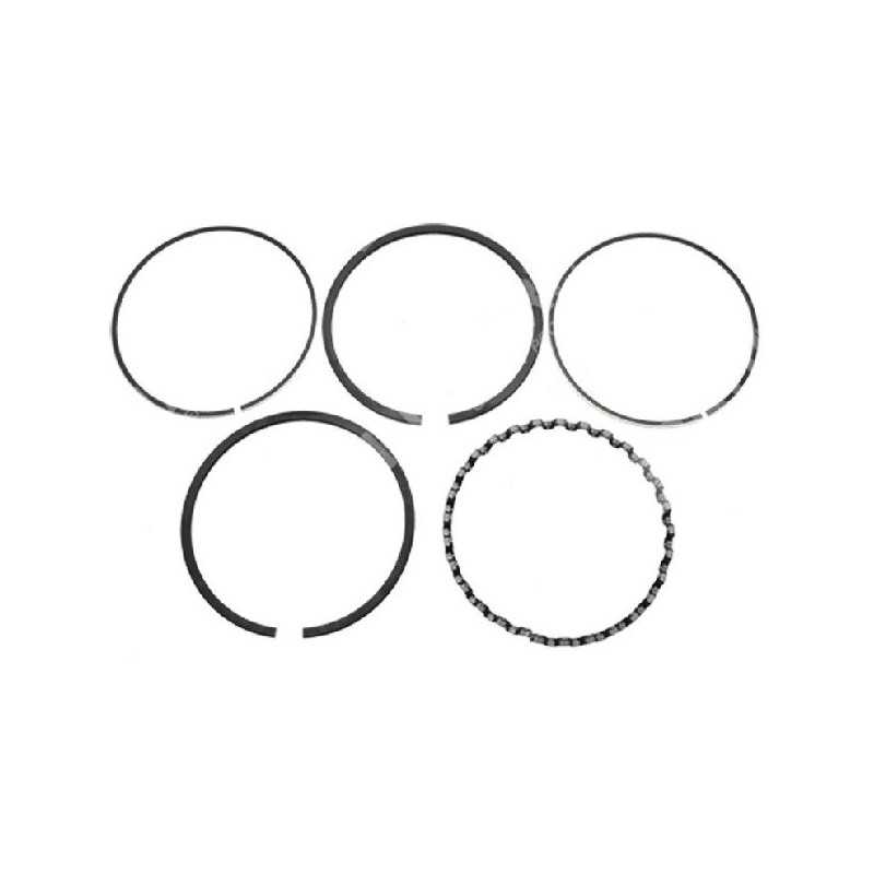 BRIGGS & STRATTON Quadratsegment-Bausatz Durchmesser 65,1 mm – 011592 BRIGGS & STRATTON Quadratsegment-Bausatz Durchmesser 65,1 mm – 011592