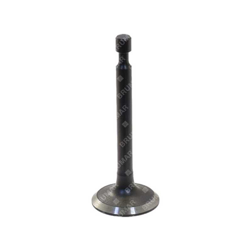 Intake valve for MAORI lawnmower - 055897
