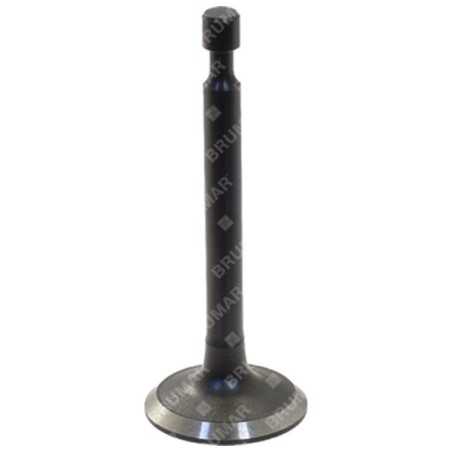 Einlassventil für MAORI Rasenmäher – 055897 | NewgardenParts.com