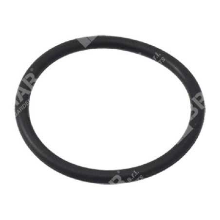 Guarnizione tappo serbatoio per motori KOHLER 1403210S Compatibile - 050320 | NewgardenParts.com