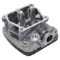 Zylinderkopf für DUCAR-Motoren und Rasenmäher 471003 - 055633