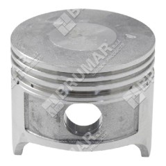 Complete piston diameter 54 mm for DUCAR motor pumps - 049574 | NewgardenParts.com