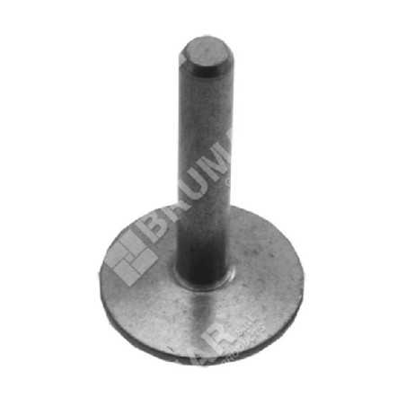 Valve tappets for BRIGGS & STRATTON engines - 020339 | NewgardenParts.com