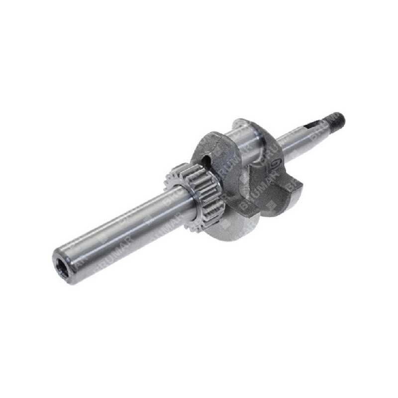 Vilebrequin pour moteurs DAYE - DAYEE Y6410000000 - 055047