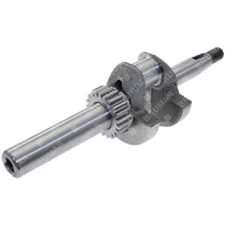 Kurbelwelle für DAYE-Motoren - DAYEE Y6410000000 - 055047 | NewgardenParts.com