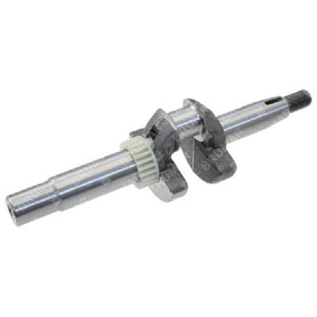 Kurbelwelle für DAYE-Motoren - DAYEE Y741S000000 - 054957 | NewgardenParts.com
