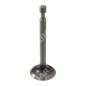 Exhaust valve for KOHLER engines - 007669
