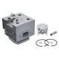 Complete cylinder for ATTILA spraying pumps - 055847