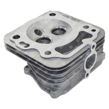 Zylinderkopf für DAYE-Motoren - DAYEE Y8110000000 - 055896 | NewgardenParts.com