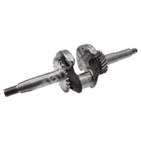 Cigüeñal para motobombas DUCAR 210308 - 049586 | NewgardenParts.com