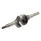Drive shaft for ATTILA wheeled brushcutters - 038703