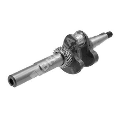 Kurbelwelle für Rasenmäher DAYE - DAYEE Y1410000000 - 023453 | NewgardenParts.com
