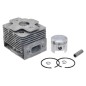Complete cylinder for GREEN LINE blowers - 055816