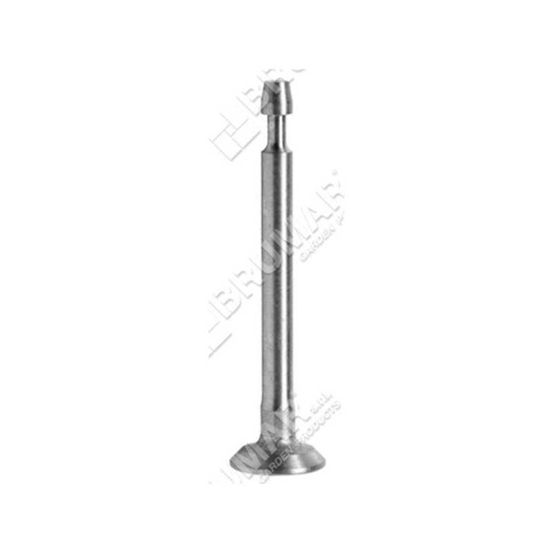Einlassventil für BRIGGS & STRATTON-Motoren - 026024