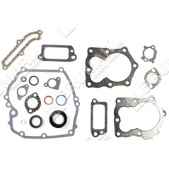 Pochette de joints pour moteurs BRIGGS & STRATTON 590508 (ex 794307 - 497316) - 020281