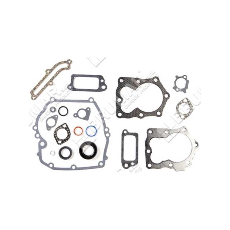 Dichtungssatz für BRIGGS & STRATTON-Motoren 590508 (ex 794307 - 497316) - 020281 Dichtungssatz für BRIGGS & STRATTON-Motoren 590508 (ex 794307 - 497316) - 020281