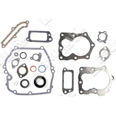Set guarnizioni per motori BRIGGS & STRATTON 590508 Compatibile - 020281 | NewgardenParts.com