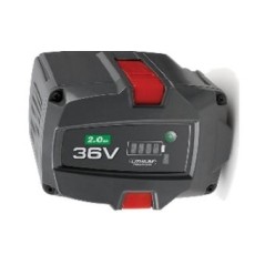 Batteria al litio 36V 4H TOPSUN | NewgardenParts.com