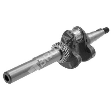 Kurbelwelle für Rasenmäher DAYE - DAYEE Y2410000100 - 023533 | NewgardenParts.com