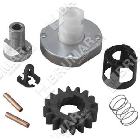 BRIGGS & STRATTON Anlasserritzelsatz 696540 - 020184 | NewgardenParts.com
