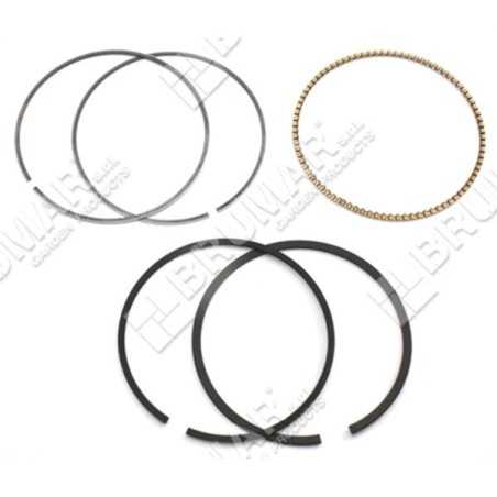 Kit de segmentos BRIGGS & STRATTON - 026091 | NewgardenParts.com