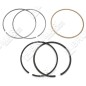 Kit Segmenti BRIGGS & STRATTON Compatibile - 026091