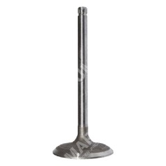 Intake valve for BRIGGS & STRATTON engines - 020435