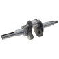 Albero motore arieg. HARRY HRA 4022 C Compatibile - 058614