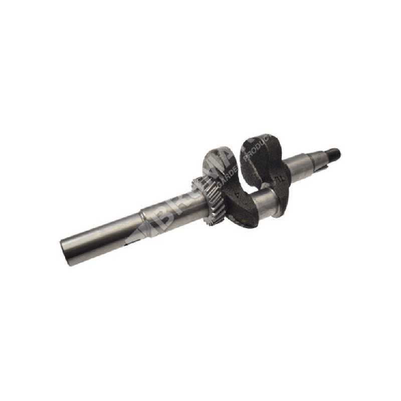 Vilebrequin pour moteurs LONCIN 130290413-T323 - 049025