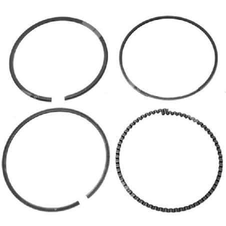 Kit Segmenti quadro KOHLER diametro 70 mm Compatibile - 007702 | NewgardenParts.com