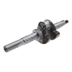 Kurbelwelle für Rasenmäher DAYE - DAYEE Y3410000000 - 023582 | NewgardenParts.com