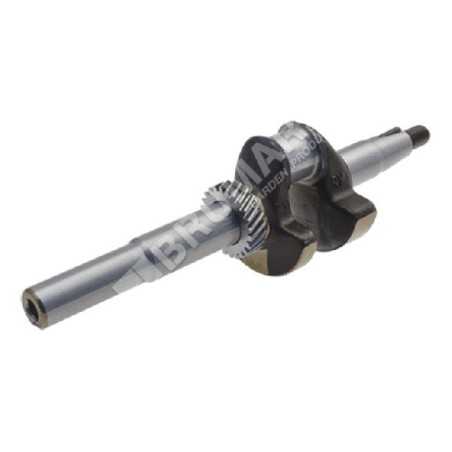 Kurbelwelle für Rasenmäher DAYE - DAYEE Y3410000000 - 023582 | NewgardenParts.com