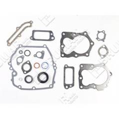 Gasket set for BRIGGS & STRATTON engines 590508 (ex 794307 - 497316) - 026096