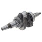 Crankshaft DG11050T - 057283