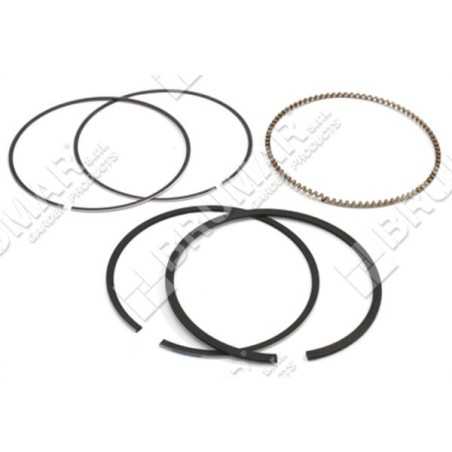 BRIGGS & STRATTON Segmentbausatz – 026018 | NewgardenParts.com