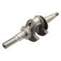 Albero motore per motori HONDA 13310.Z1T.800 Compatibile - 048964