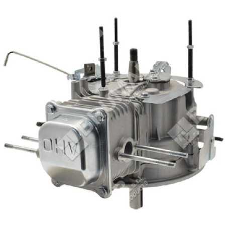 Bloque motor DAYE - DAYEE - 026895 | NewgardenParts.com