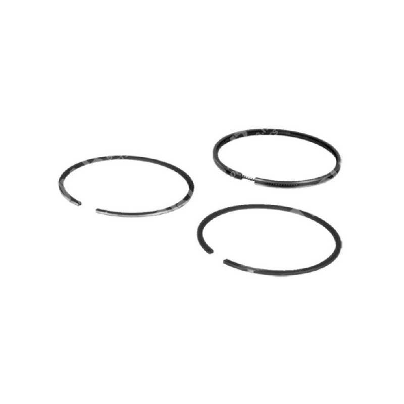 BRIGGS & STRATTON Standard Segment Kit - 020160