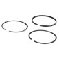 Kit de segments standards BRIGGS & STRATTON - 020160