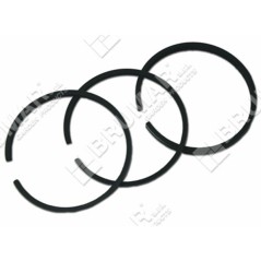 BRIGGS & STRATTON Segmentserie – 026245 | NewgardenParts.com